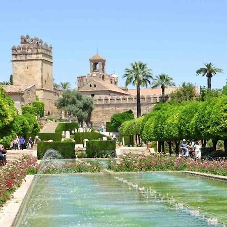 Apartamento Con Jardin Y Piscina En コルドバ エクステリア 写真
