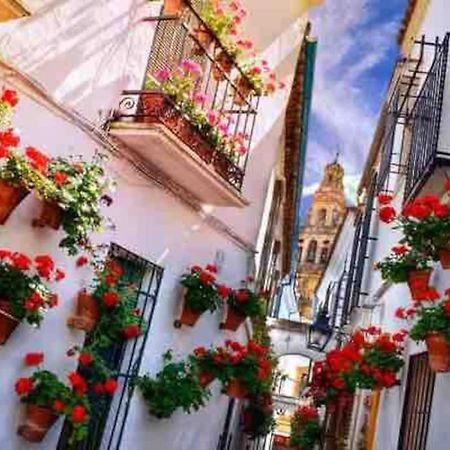 Apartamento Con Jardin Y Piscina En コルドバ エクステリア 写真