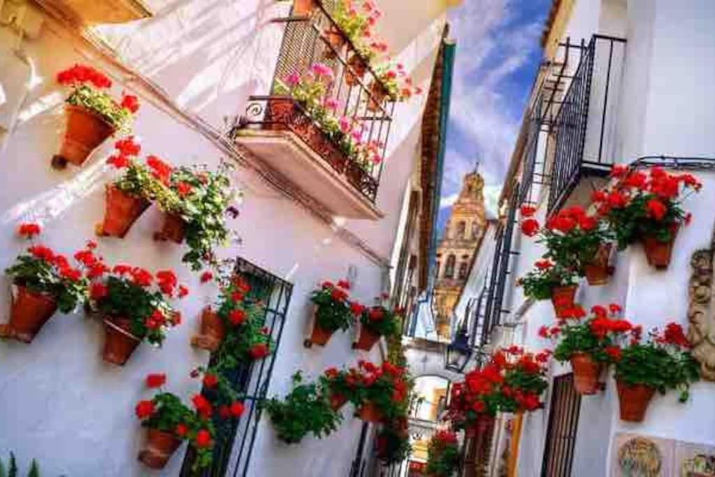 Apartamento Con Jardin Y Piscina En コルドバ エクステリア 写真