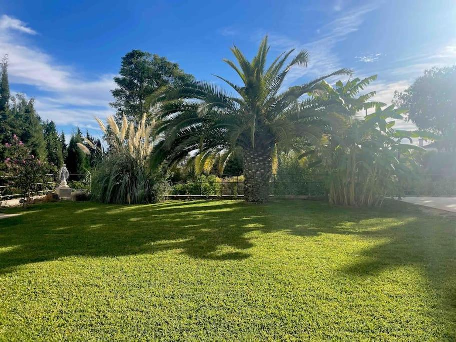 Apartamento Con Jardin Y Piscina En コルドバ エクステリア 写真